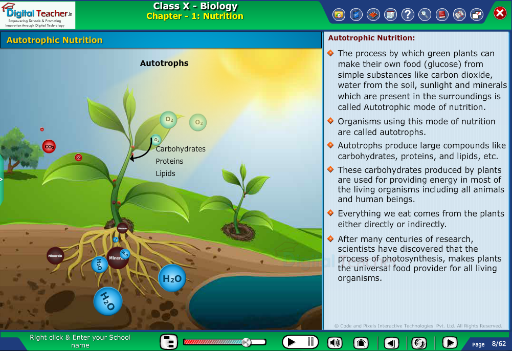 Infographics Biology Digital Teacher